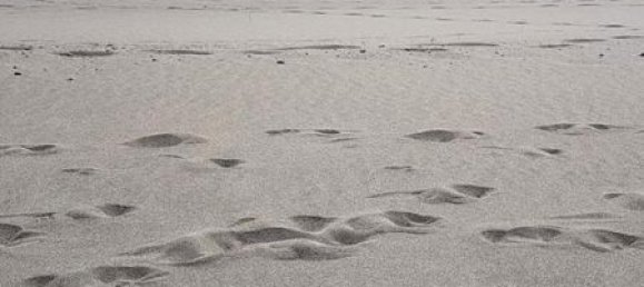 1 غرف نوم شقة في Leucate, France رقم 335128 3