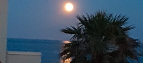 1 غرف نوم شقة في Leucate, France رقم 335128 2