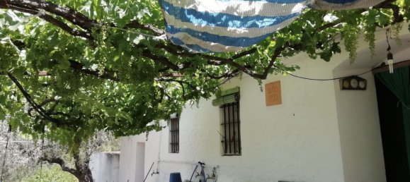 3 bedrooms House in Istan, Spain No. 149367 8