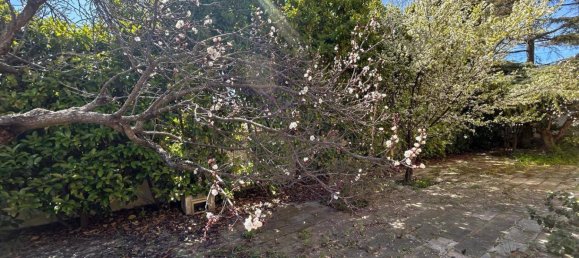 6 rooms Villa in Pulsano, Italy No. 43338 9