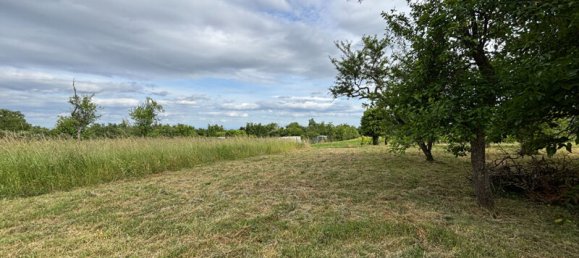 1 bedroom Land in Bernardswiller, France No. 54374 3