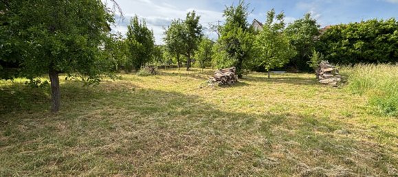 1 bedroom Land in Bernardswiller, France No. 54374 4