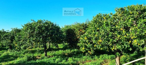 Terreno de 1 habitación en Noto, Italy No. 23885 8