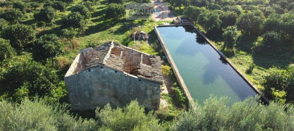 Terreno de 1 habitación en Noto, Italy No. 23885 5