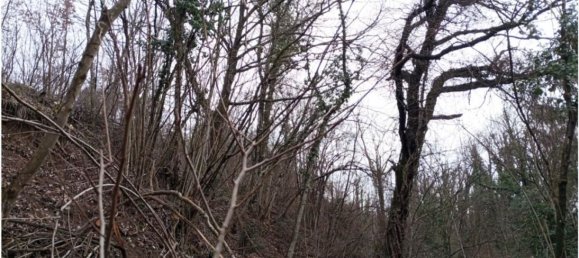 20000m² Land in Cogollo del Cengio, Italy No. 107635 30