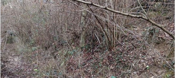 20000m² Land in Cogollo del Cengio, Italy No. 107635 29