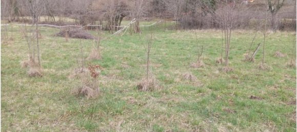 20000m² Land in Cogollo del Cengio, Italy No. 107635 10