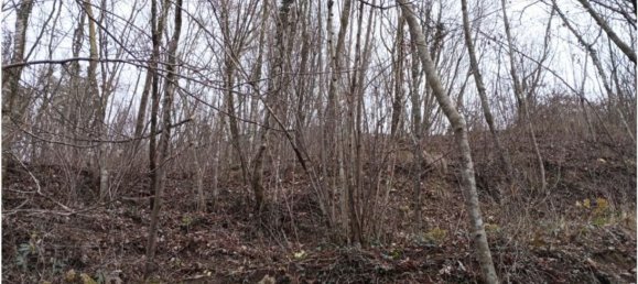 20000m² Land in Cogollo del Cengio, Italy No. 107635 28