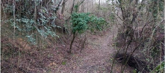 20000m² Land in Cogollo del Cengio, Italy No. 107635 27