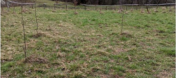 20000m² Land in Cogollo del Cengio, Italy No. 107635 3