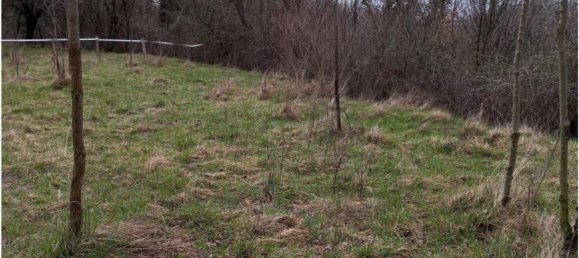 20000m² Land in Cogollo del Cengio, Italy No. 107635 8