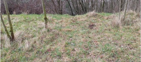 20000m² Land in Cogollo del Cengio, Italy No. 107635 7