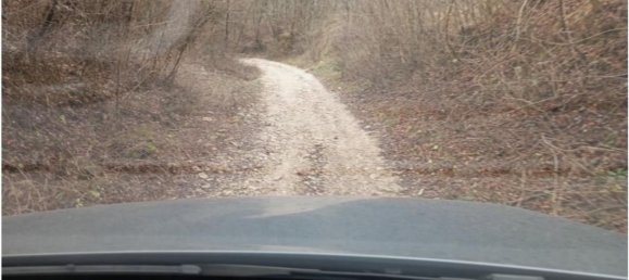 20000m² Land in Cogollo del Cengio, Italy No. 107635 25