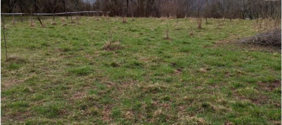 20000m² Land in Cogollo del Cengio, Italy No. 107635 6