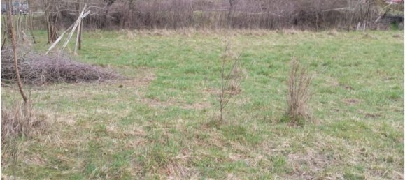 20000m² Land in Cogollo del Cengio, Italy No. 107635 12