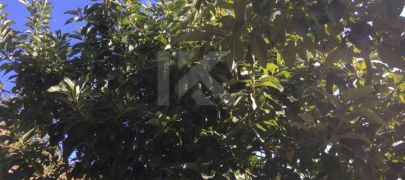 Terrain à Camara de Lobos, Portugal 718m² No. 184470 12