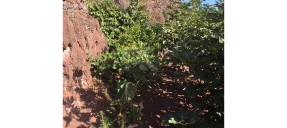 Terrain à Camara de Lobos, Portugal 718m² No. 184470 10