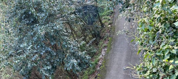 1 chambre Appartement à Rapallo, Italy No. 52612 25