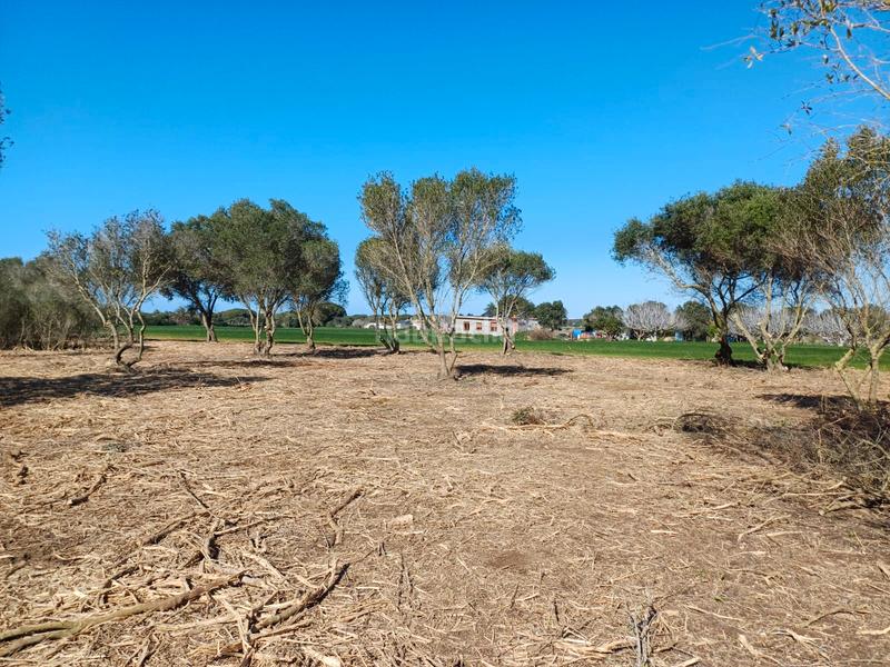 Terrain à Cadiz, Spain 18000m² No. 203535