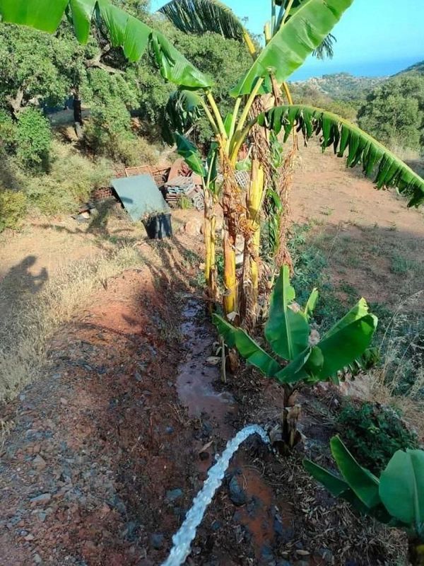 Terreno em Estepona, Spain 14670 m² N.º 219529