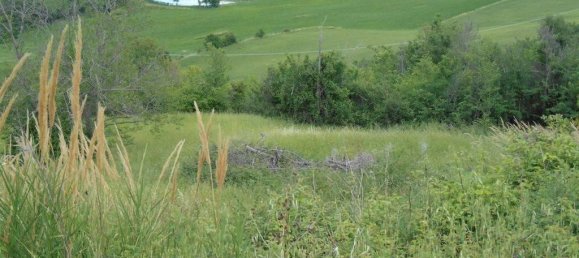 1260m² Land in Poggio Torriana, Italy No. 90598 3