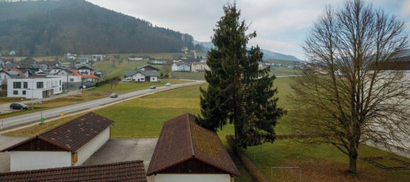 3-Zimmer Wohnung in Pinsdorf, Austria, Nr. 100243 5