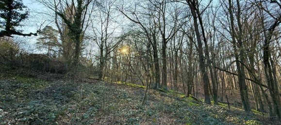 Terrain à Hernals, Austria 1150m² No. 167264 4