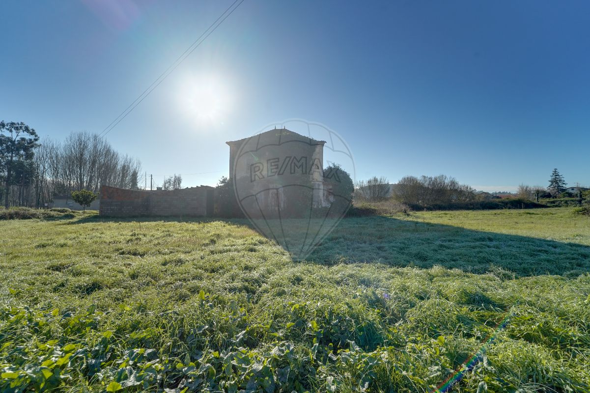 3 Schlafzimmer Haus in Oliveira do Bairro, Portugal, Nr. 170419