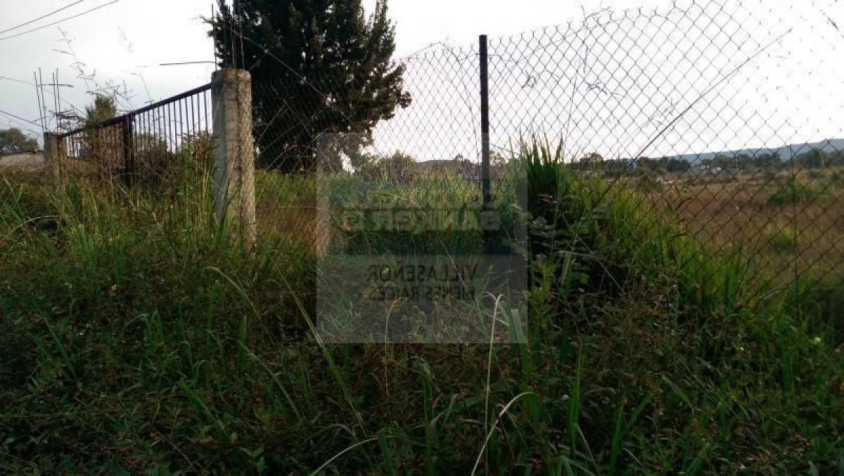  Land in Villa Guerrero, Mexico No. 205614