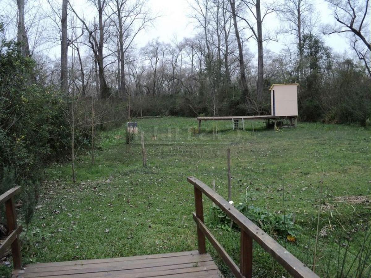  قطعة أرض في Tigre, Argentina رقم 32850