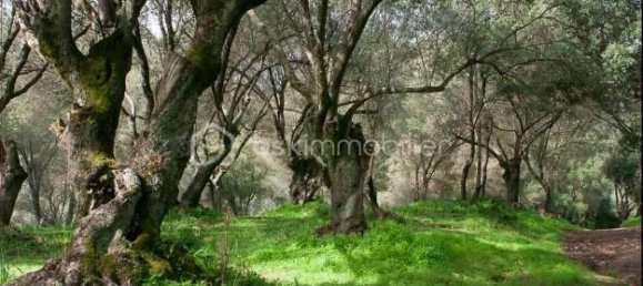 3 bedrooms Apartment in Ajaccio, France No. 356917 8