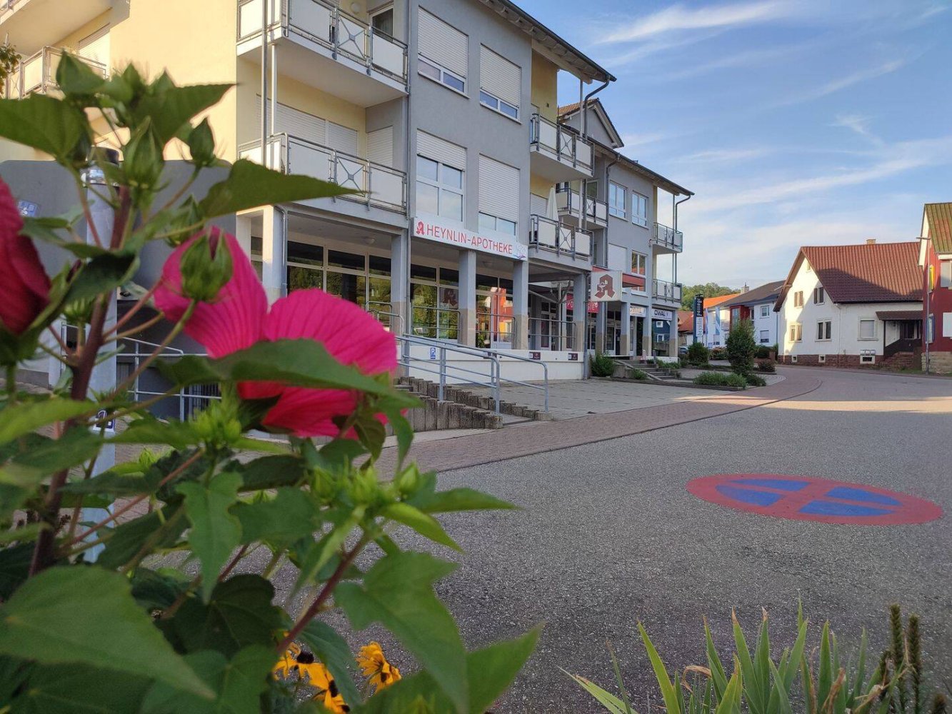 Коммерческая недвижимость в Энц, Германия № 232248