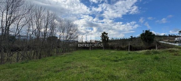 Grundstück in Amarante, Portugal 14000m², Nr. 190304 2