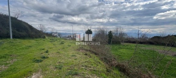 Grundstück in Amarante, Portugal 14000m², Nr. 190304 11