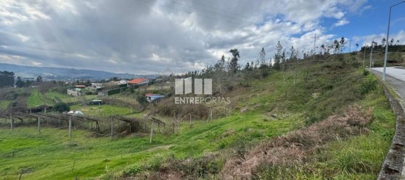 Grundstück in Amarante, Portugal 14000m², Nr. 190304 21