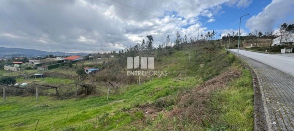 Grundstück in Amarante, Portugal 14000m², Nr. 190304 22