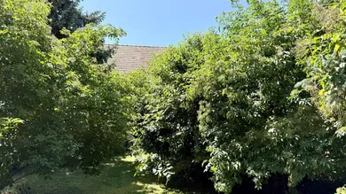 Terreno en Favoriten, Austria No. 225845