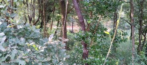 Grundstück in A Coruna, Spain 3000m², Nr. 185009 13