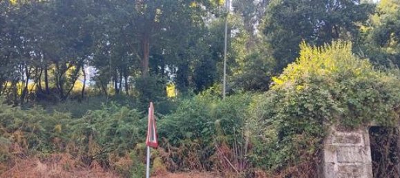 Grundstück in A Coruna, Spain 3000m², Nr. 185009 6