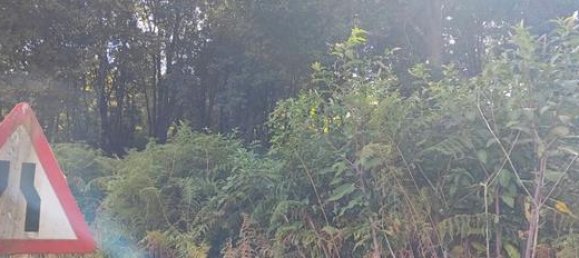 Grundstück in A Coruna, Spain 3000m², Nr. 185009 10