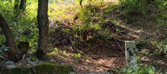 Grundstück in A Coruna, Spain 3000m², Nr. 185009 2