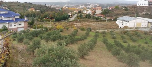 9 bedrooms House in Mirandela, Portugal No. 189966 7