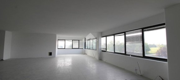 Bureau à Lallio, Italy 570m² No. 91543 26