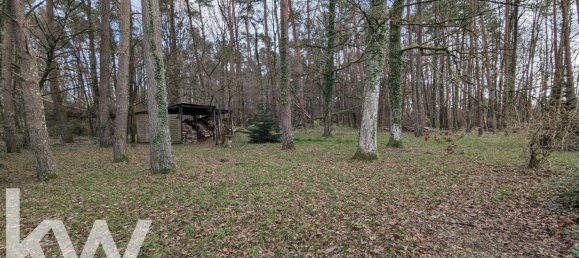 4 bedrooms House in Nesploy, France No. 40373 11