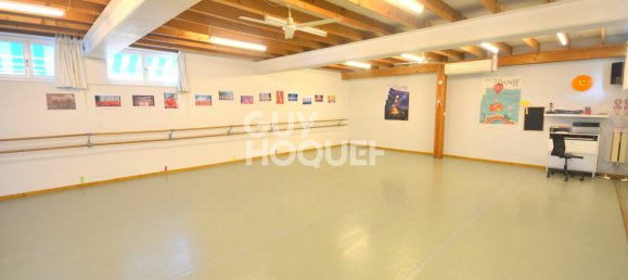 Gewerbliche Immobilie in Selestat, France 300m², Nr. 259052 2