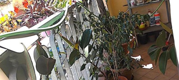 5 rooms House in Viareggio, Italy No. 278825 22