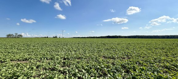 Imóvel comercial em Barnim, Germany N.º 369189 18