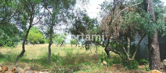  قطعة أرض في Faro, Portugal 2812متر مربع رقم 51277 3