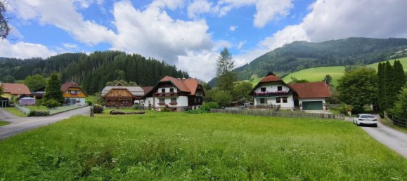 Terrain à Thorl, Austria No. 132238 5