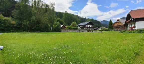 Terrain à Thorl, Austria No. 132238 3